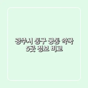 광주시 동구 궁동 약국 5곳 정보 비교