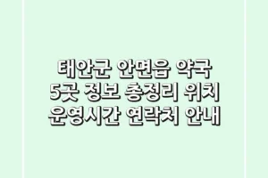 태안군 안면읍 약국 5곳 정보 총정리 – 위치, 운영시간, 연락처 안내