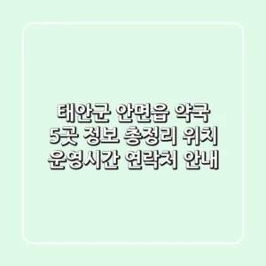 태안군 안면읍 약국 5곳 정보 총정리 - 위치, 운영시간, 연락처 안내