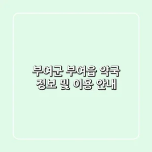부여군 부여읍 약국 정보 및 이용 안내