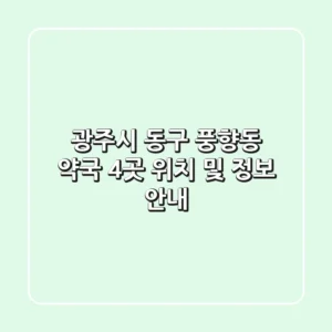 광주시 동구 풍향동 약국 4곳 위치 및 정보 안내
