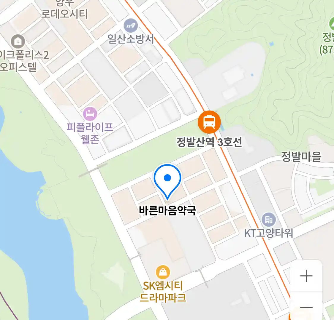 바른마음약국 위치