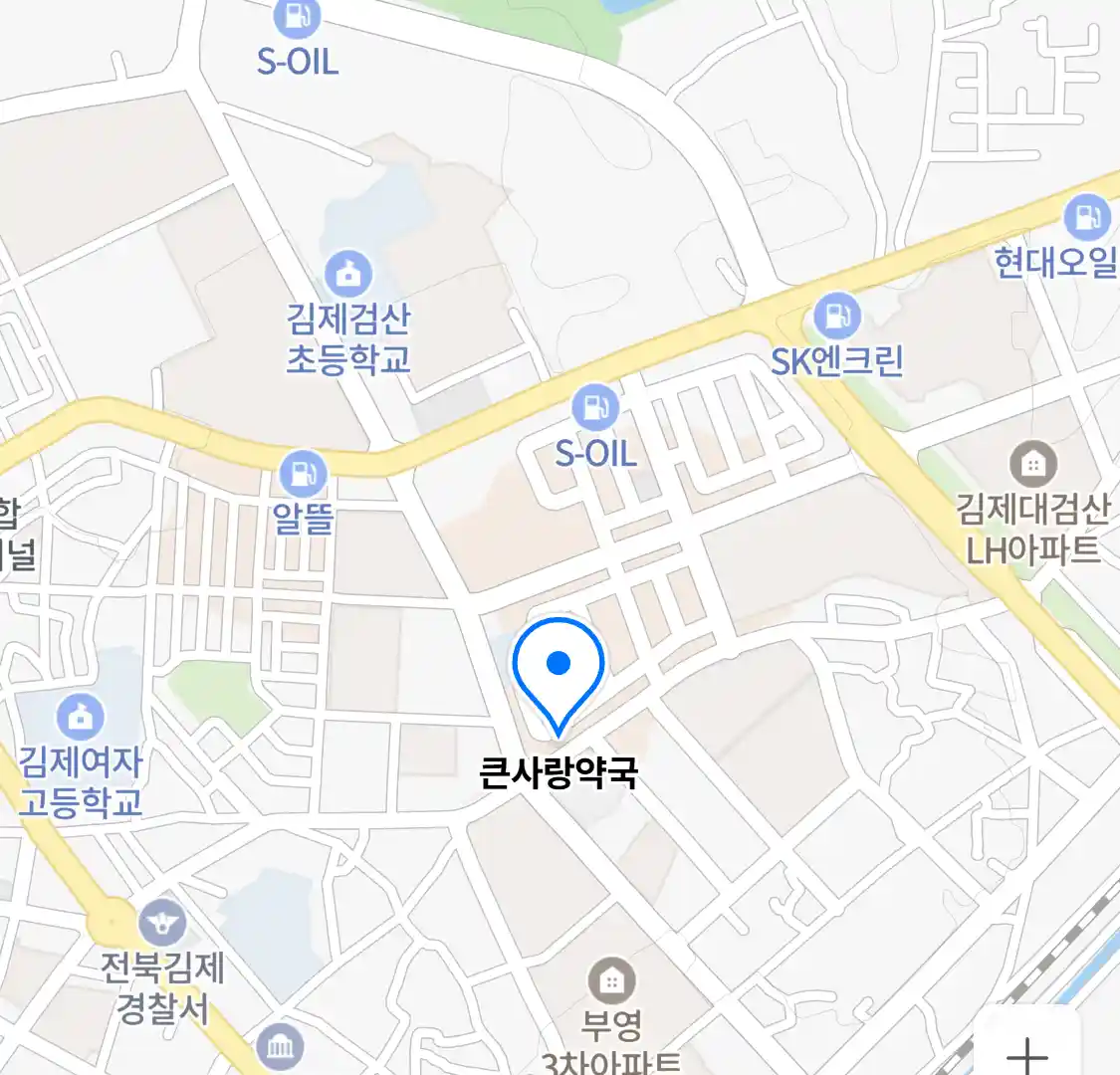큰사랑약국 위치