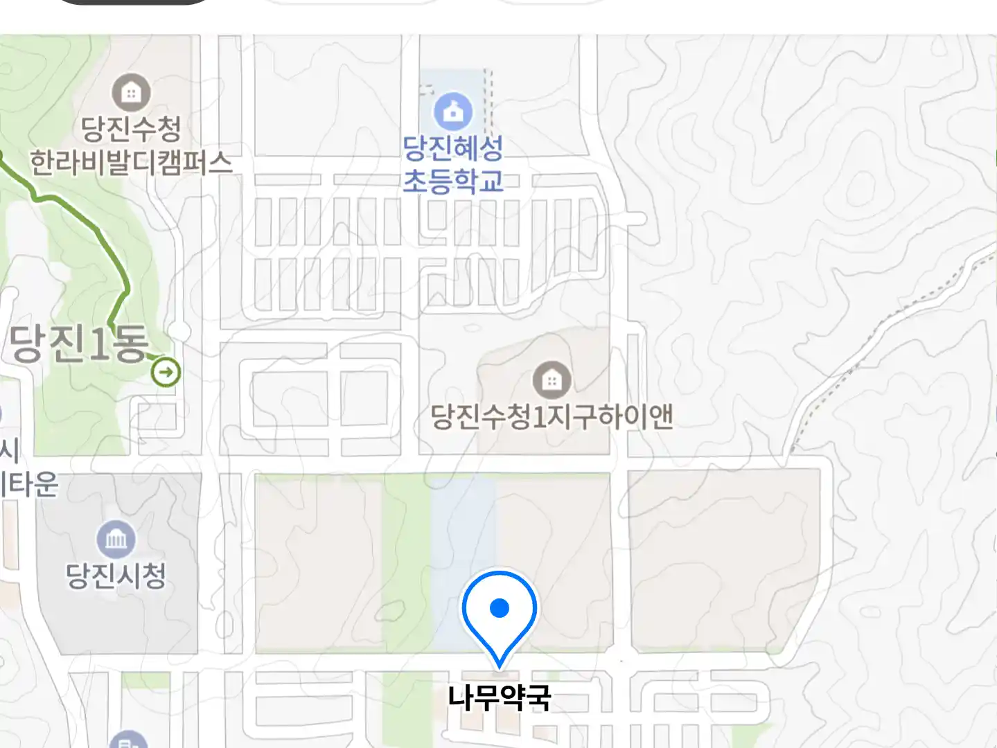 나무약국 위치