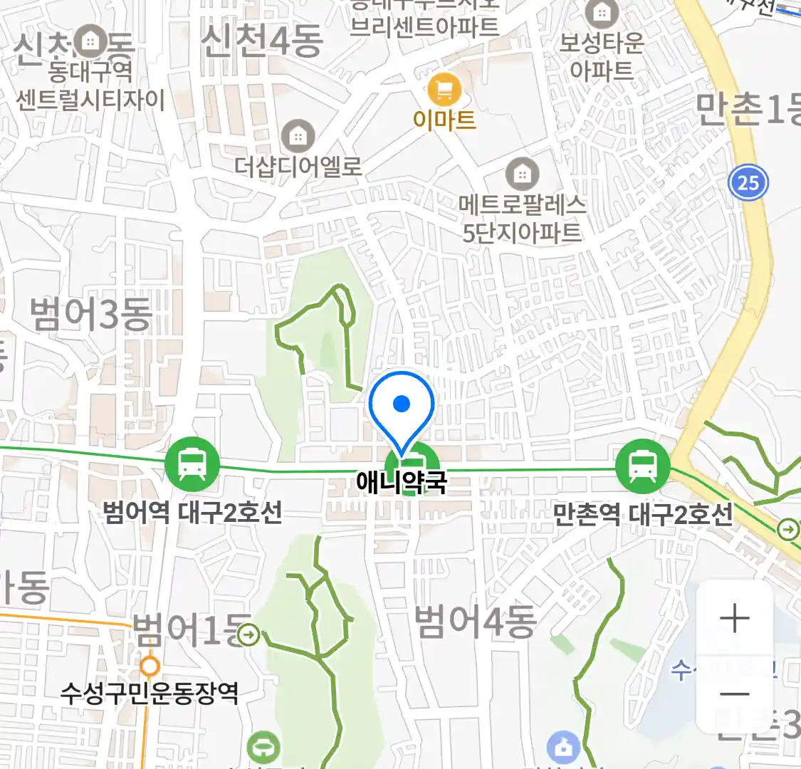 애니약국 위치