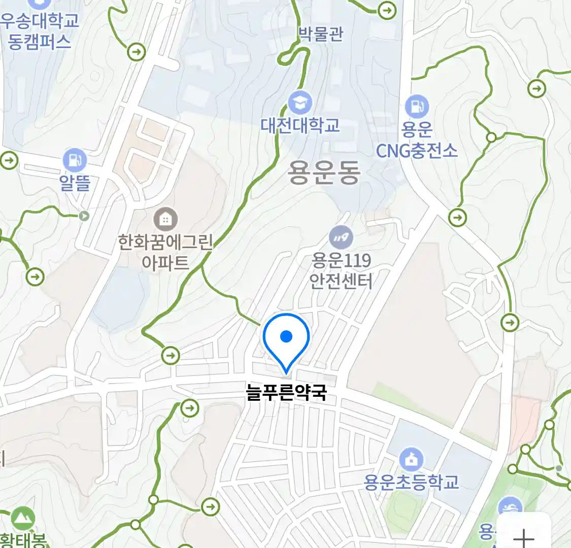 늘푸른약국 위치