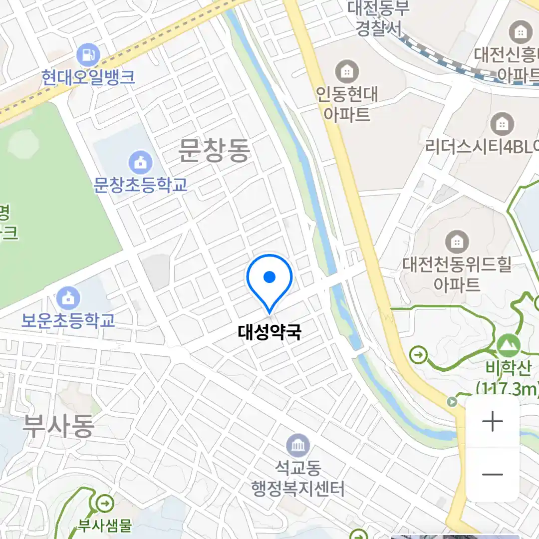 대성약국 위치