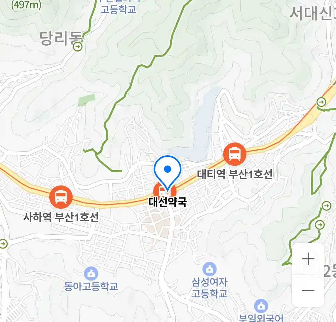 대선약국 위치