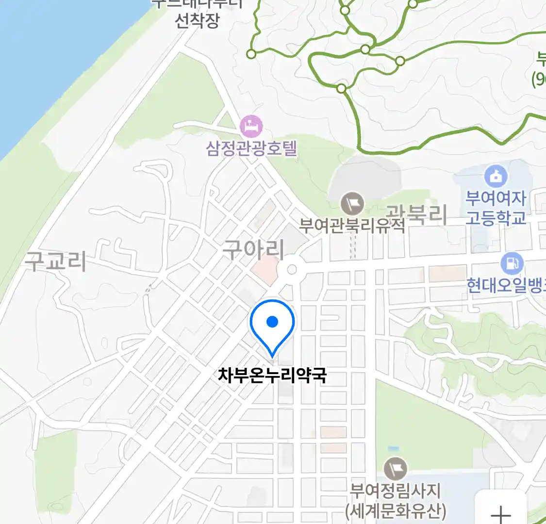 차부온누리약국 위치