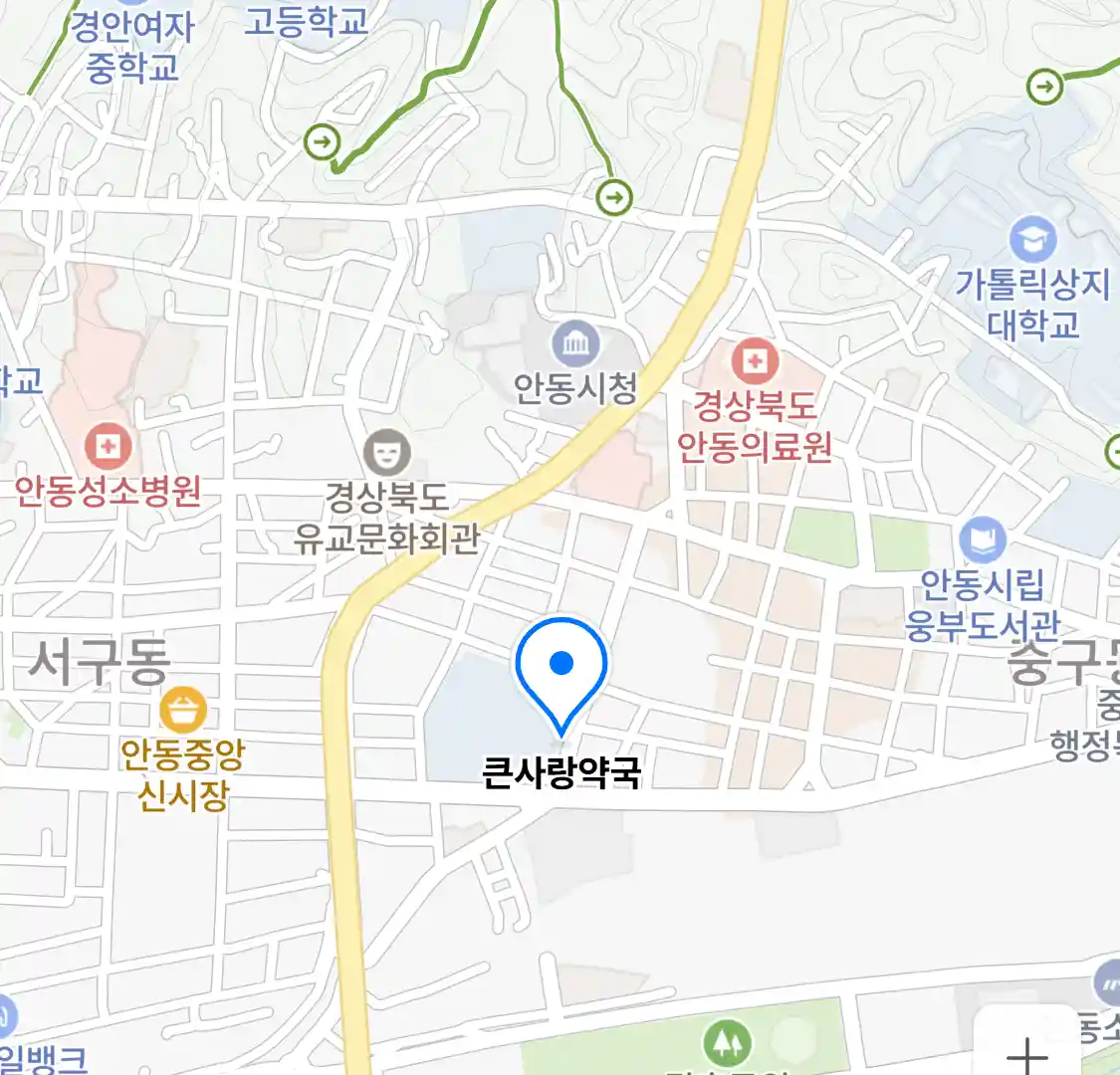 큰사랑약국 위치