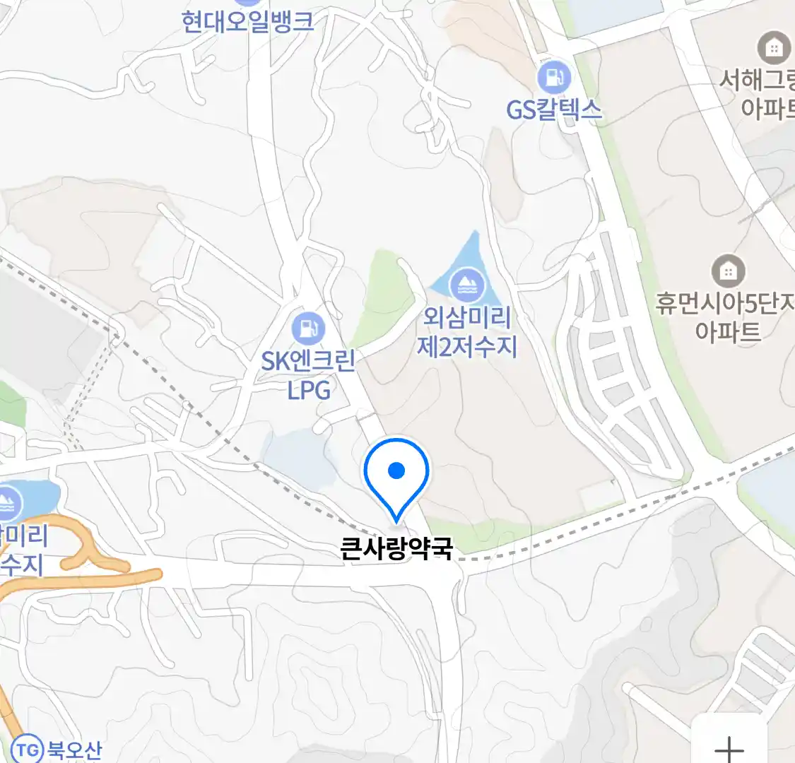 큰사랑약국 위치