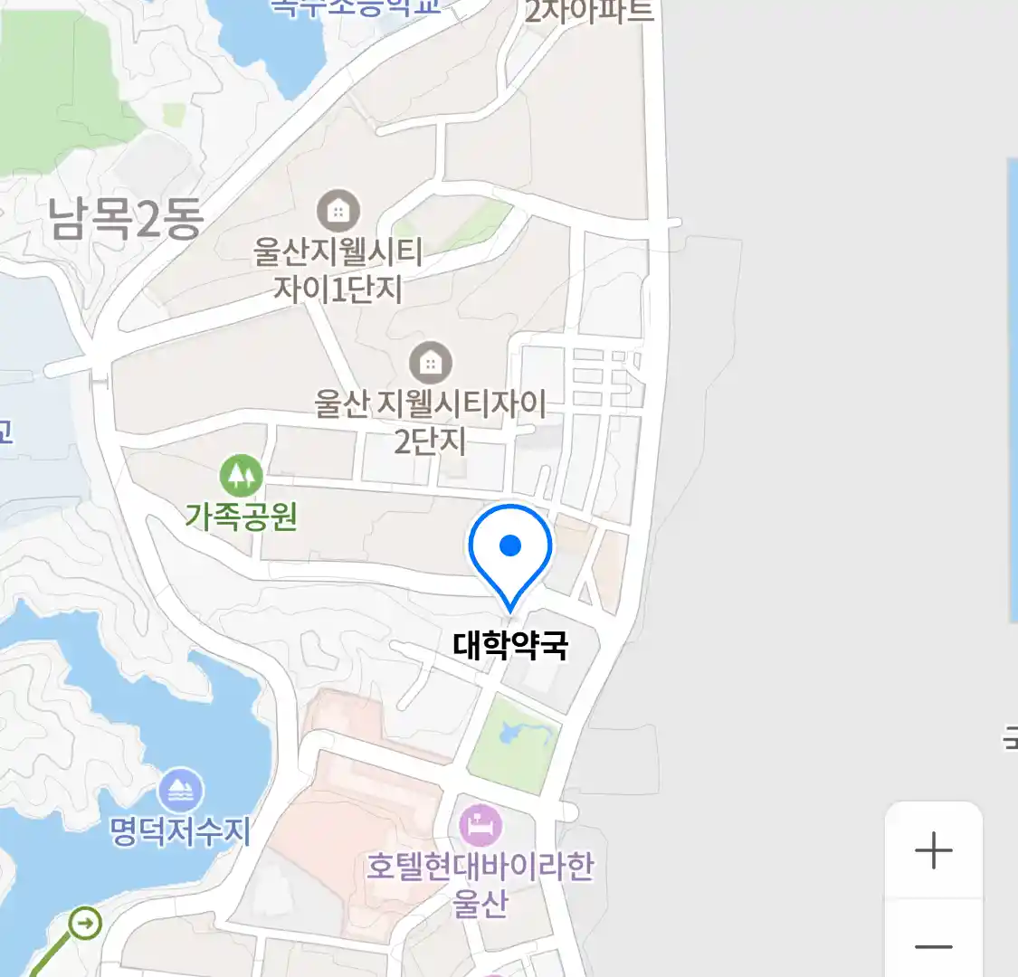 대학약국 위치