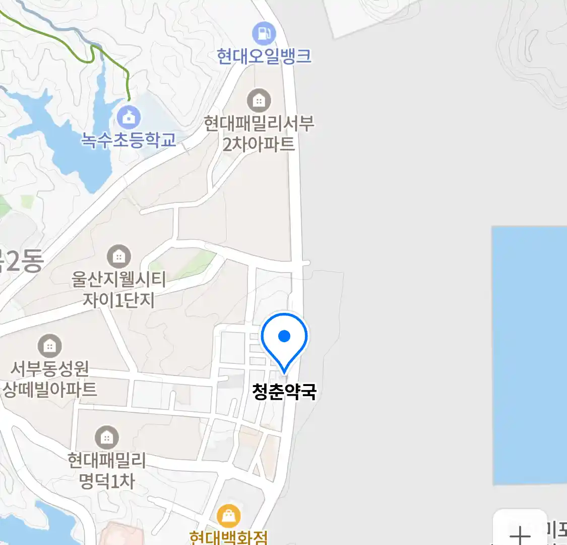청춘약국 위치