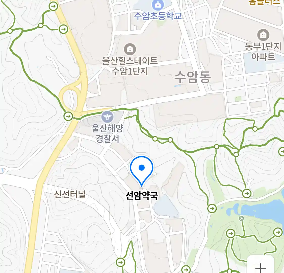 선암약국 위치