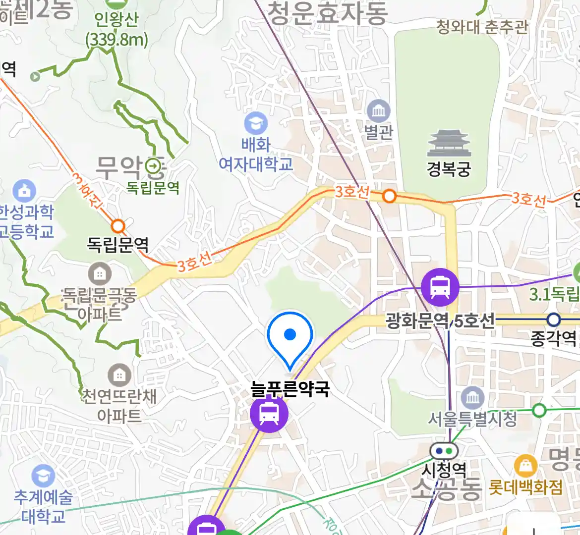늘푸른약국 위치