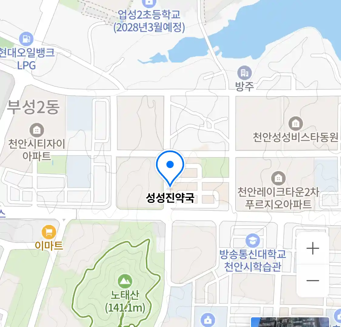 성성진약국 위치