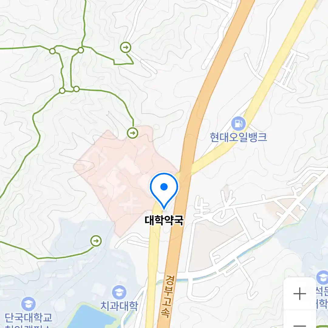대학약국 위치