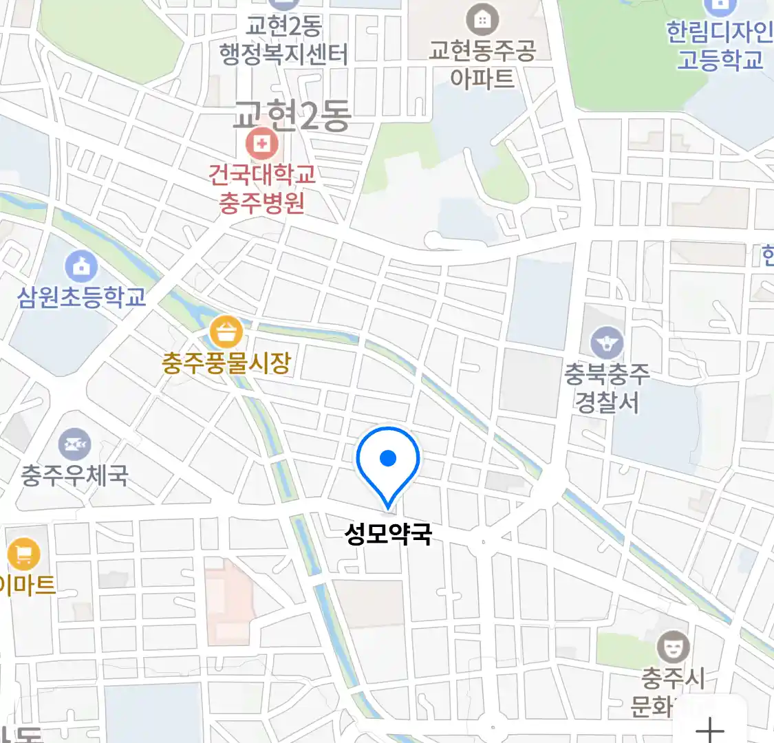 성모약국 위치