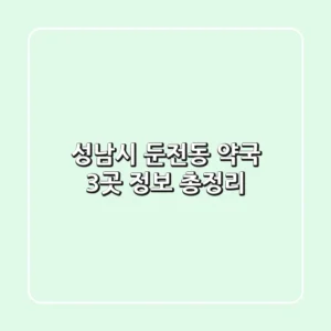 성남시 둔전동 약국 3곳 정보 총정리