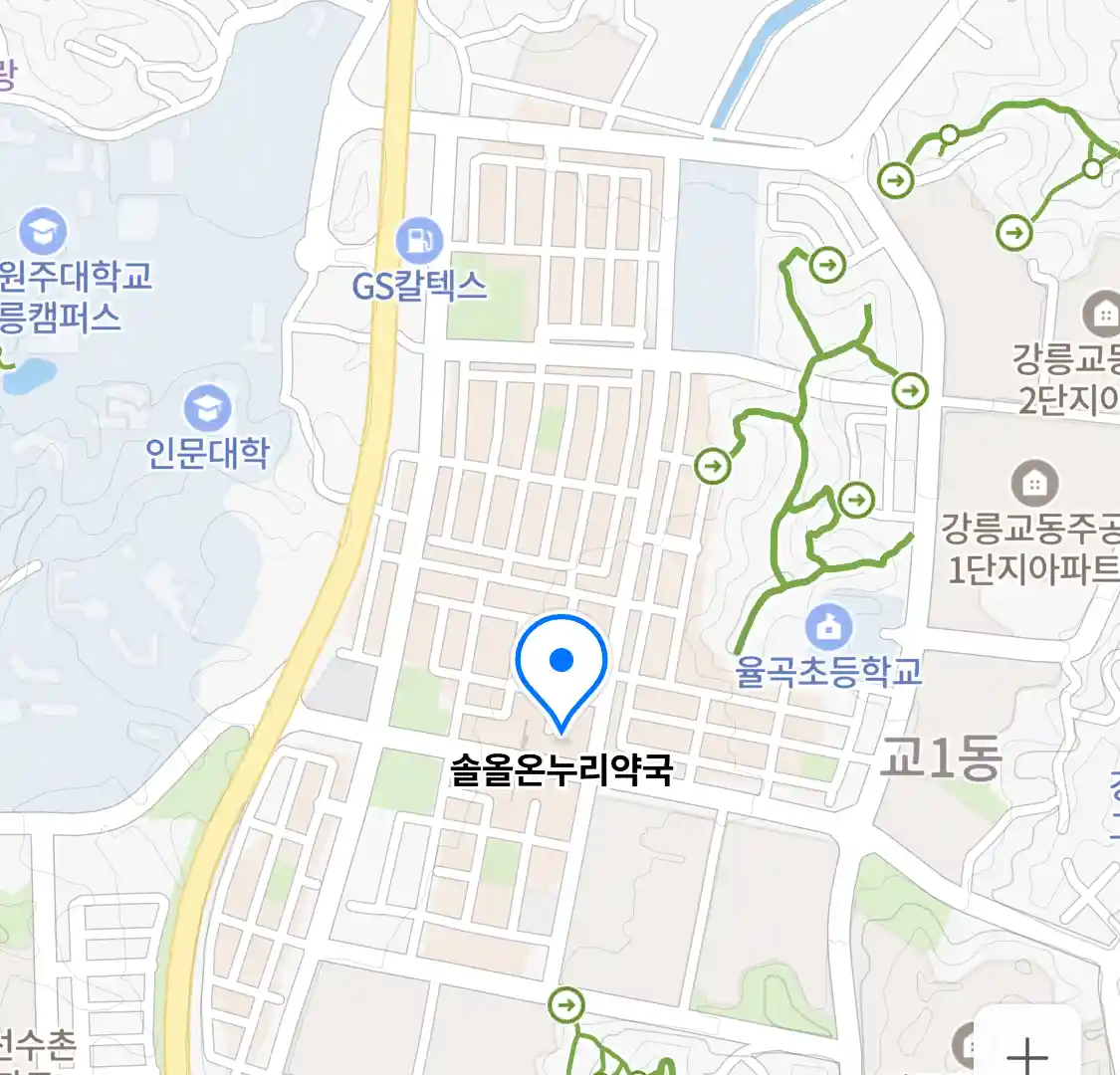 솔올온누리약국 위치
