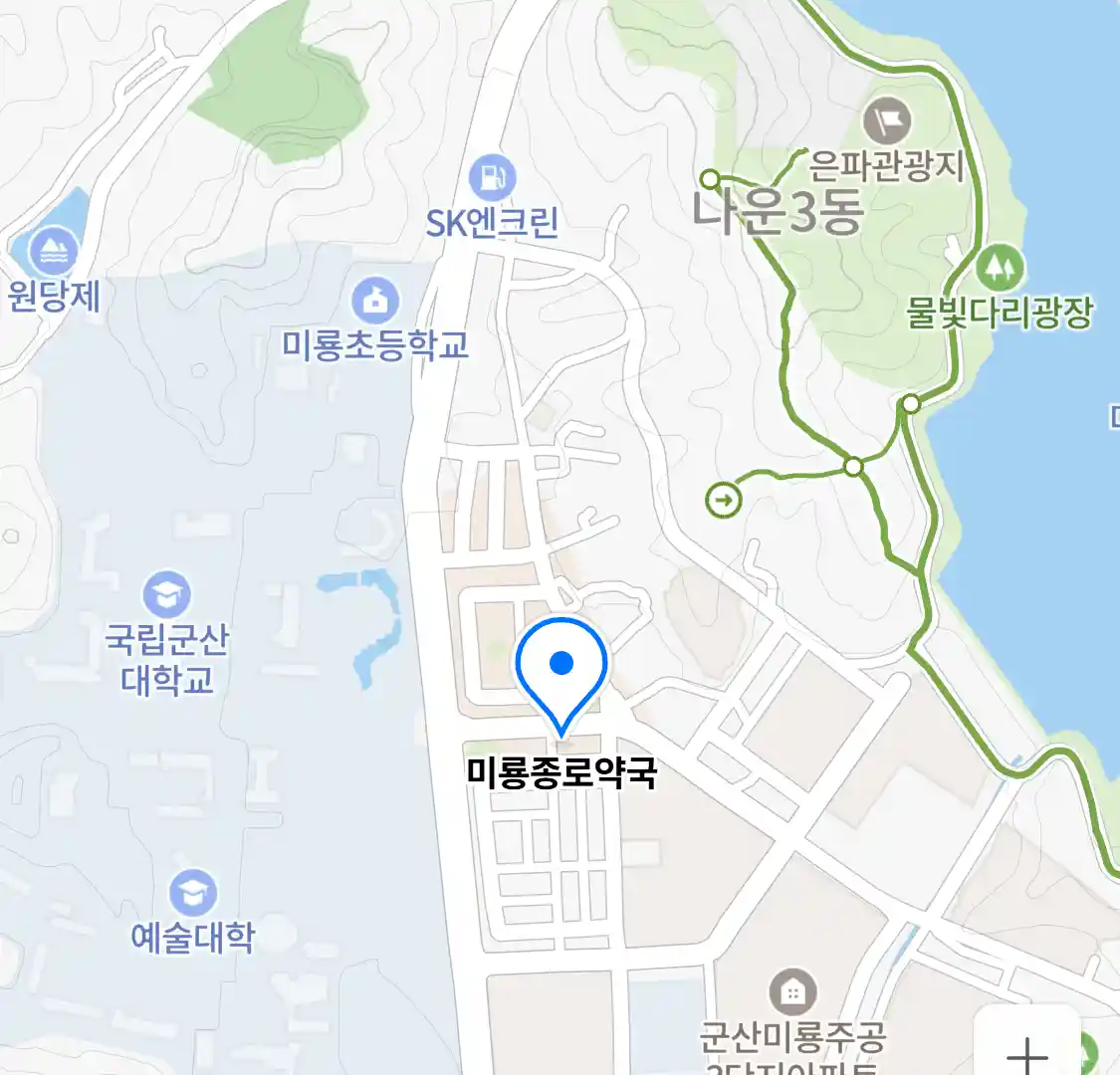 미룡종로약국 위치