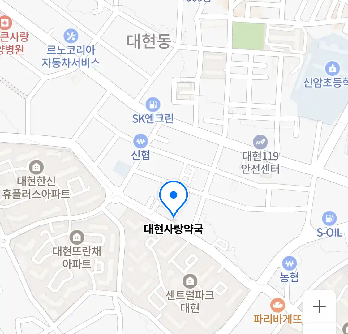 대현사랑약국 위치