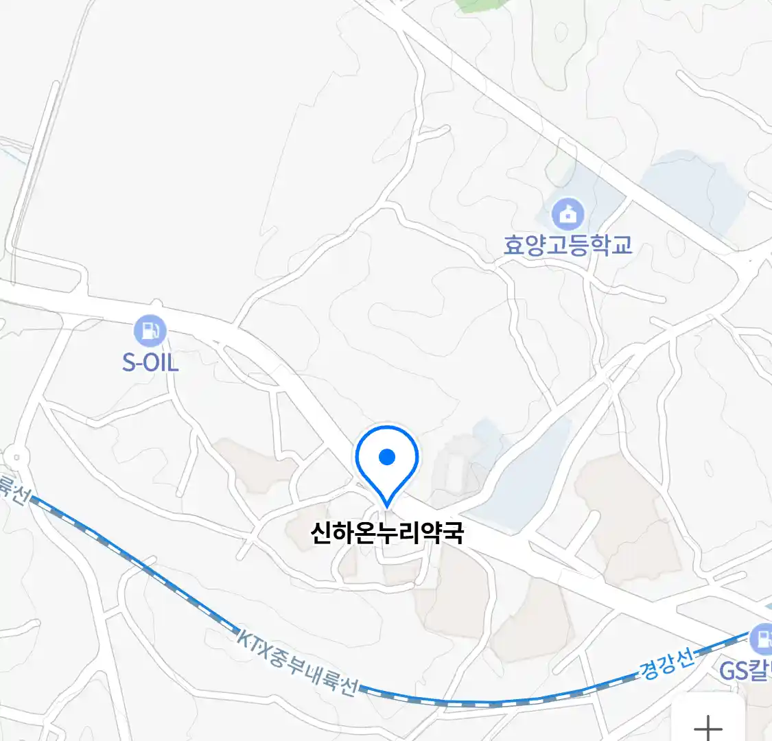 신하온누리약국 위치
