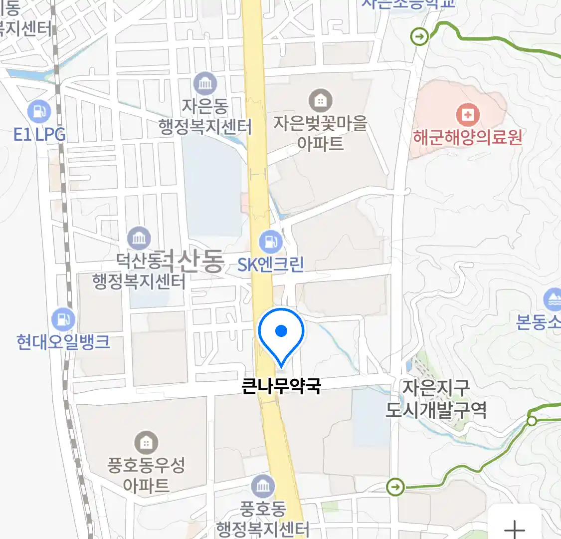 큰나무약국 위치