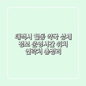 태백시 혈동 약국 상세 정보 - 운영시간, 위치, 연락처 총정리