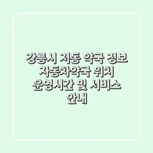 강릉시 저동 약국 정보: 자동차약국 위치, 운영시간 및 서비스 안내