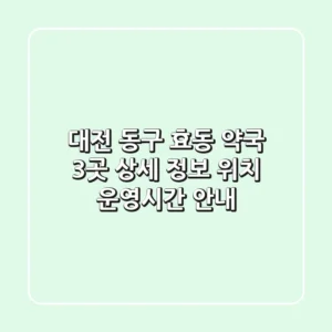 대전 동구 효동 약국 3곳 상세 정보 - 위치, 운영시간 안내