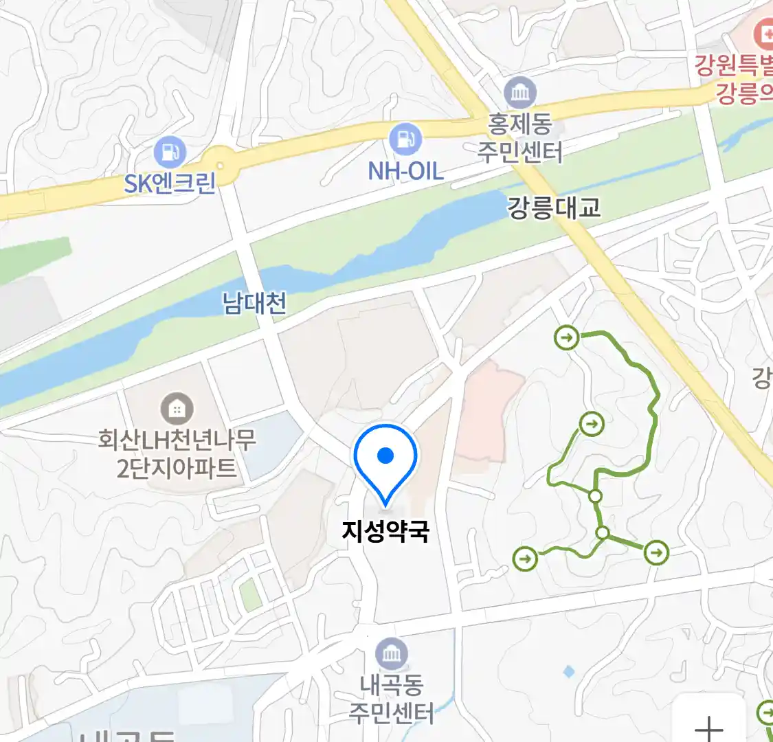 지성약국 위치