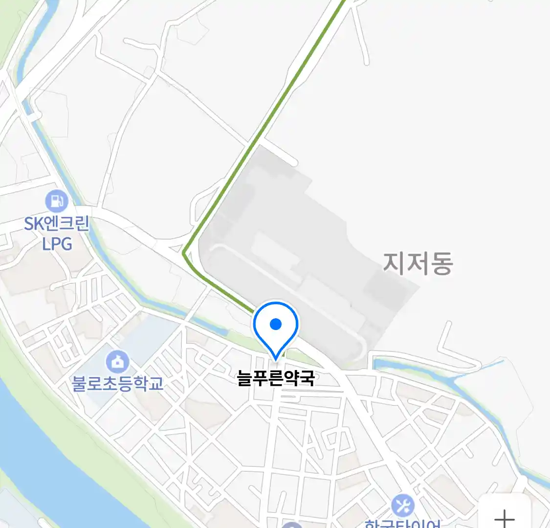 늘푸른약국 위치