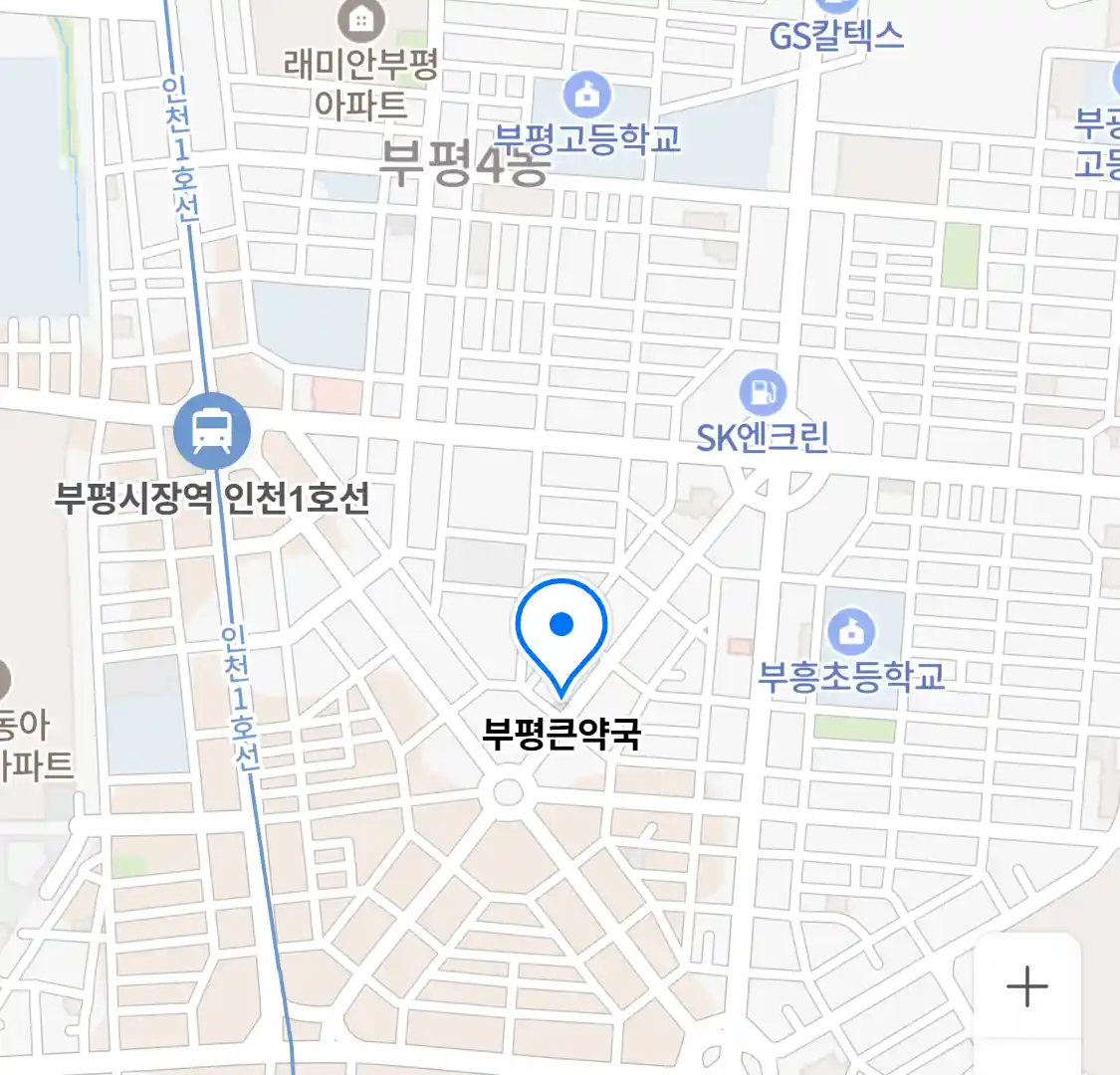 부평큰약국 위치