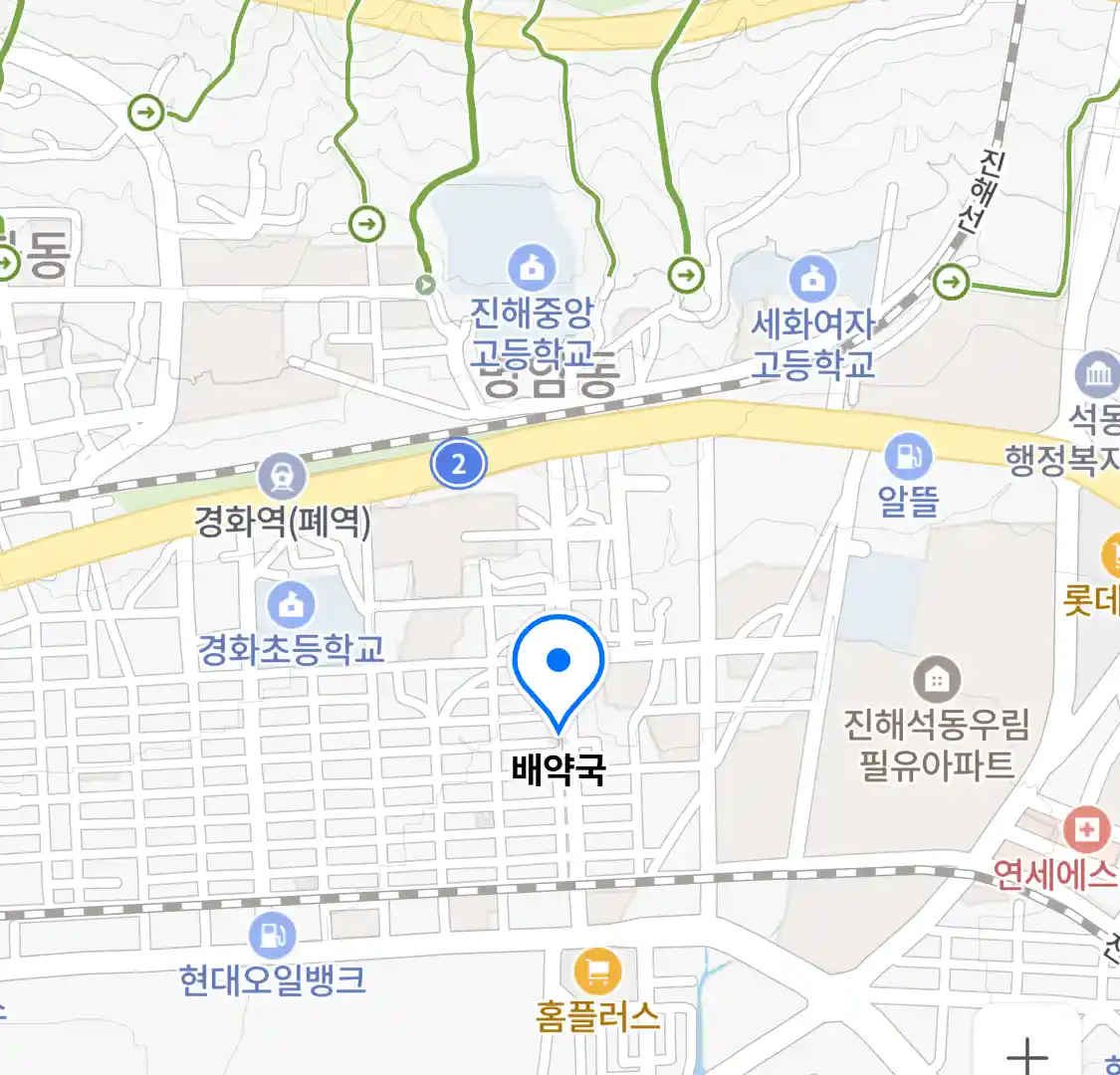 배약국 위치