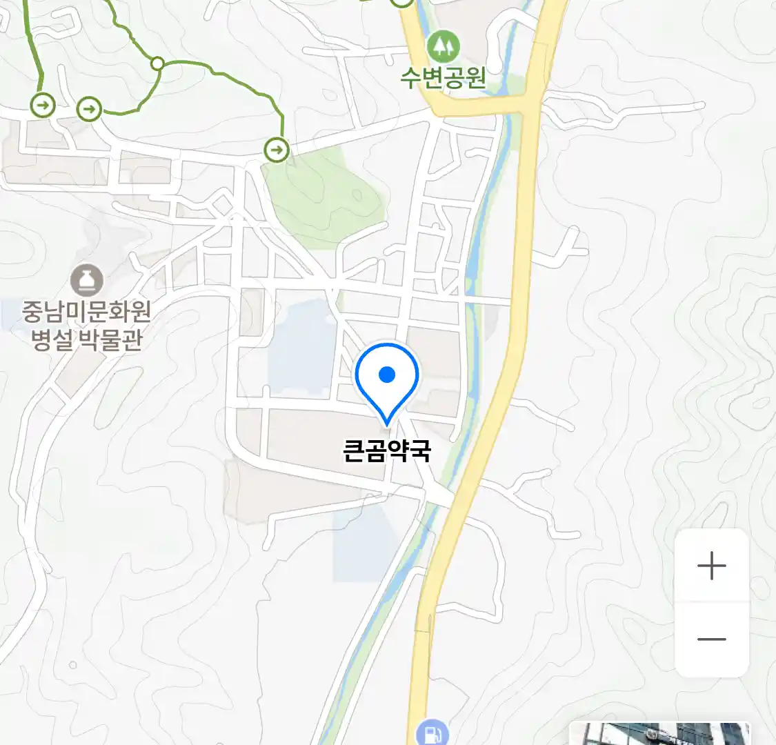 큰곰약국 위치