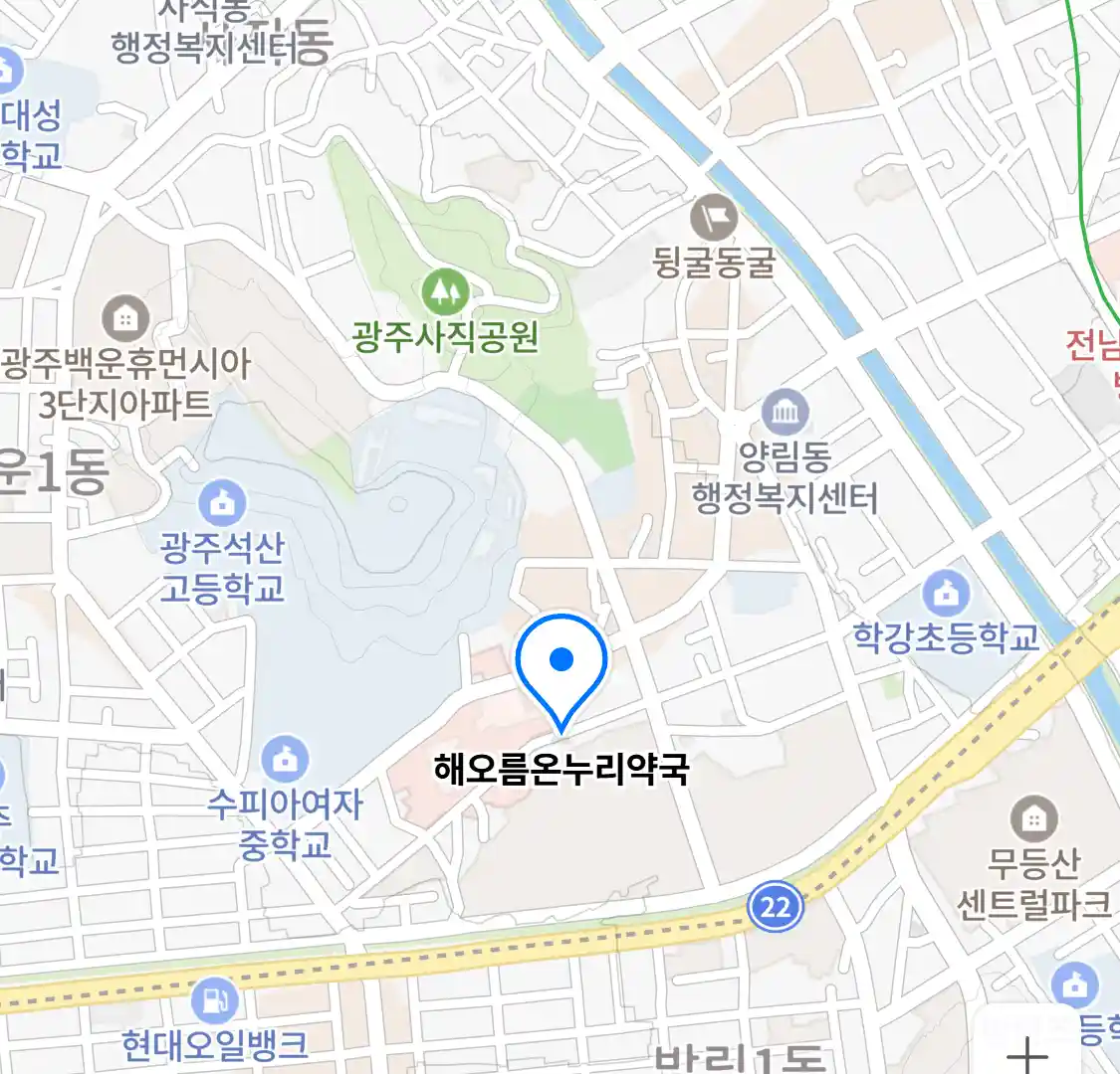 해오름온누리약국 위치