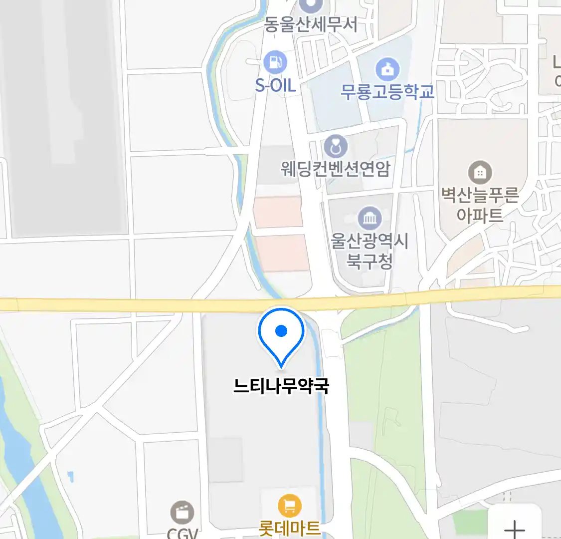 느티나무약국 위치