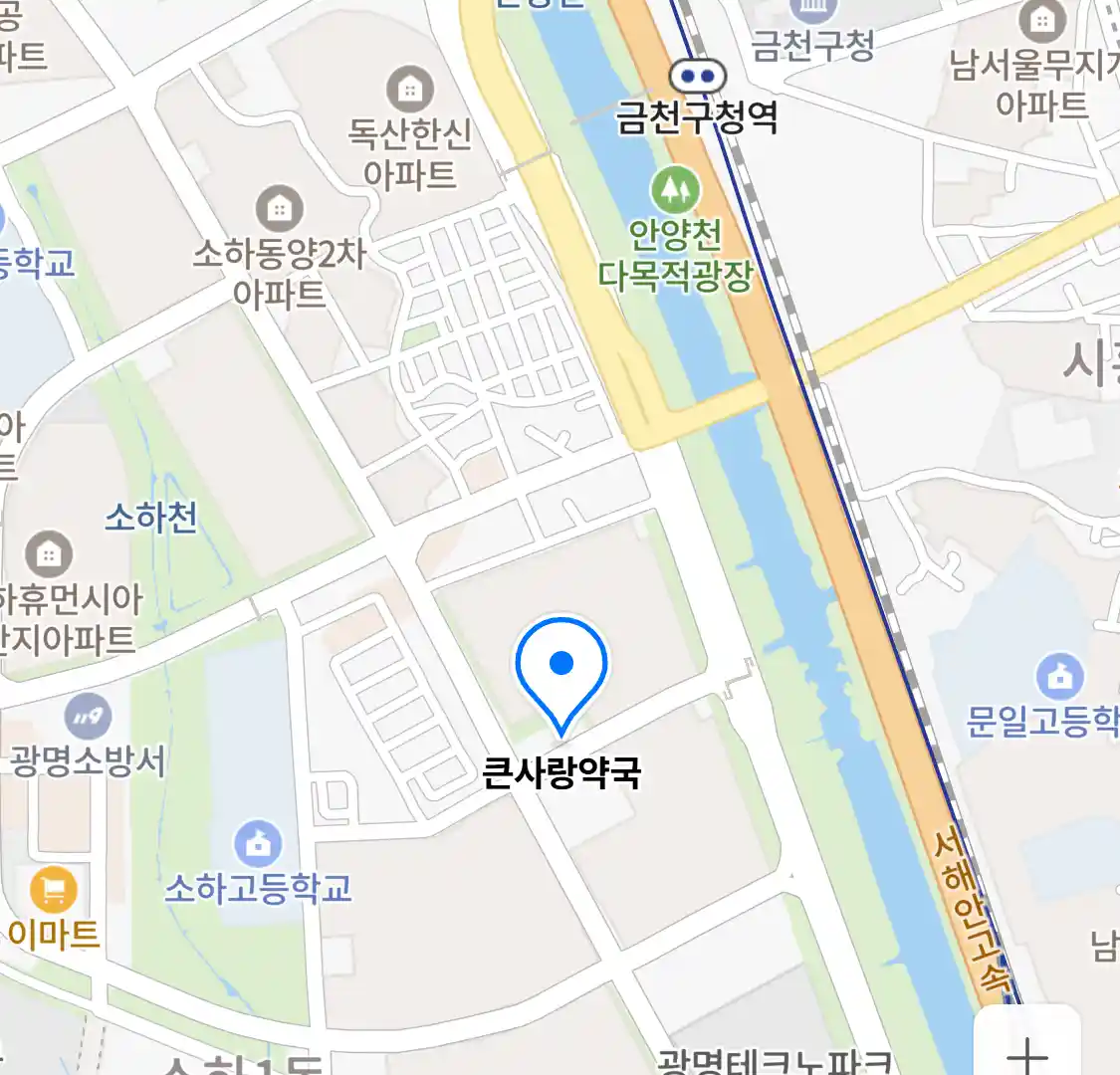 큰사랑약국 위치
