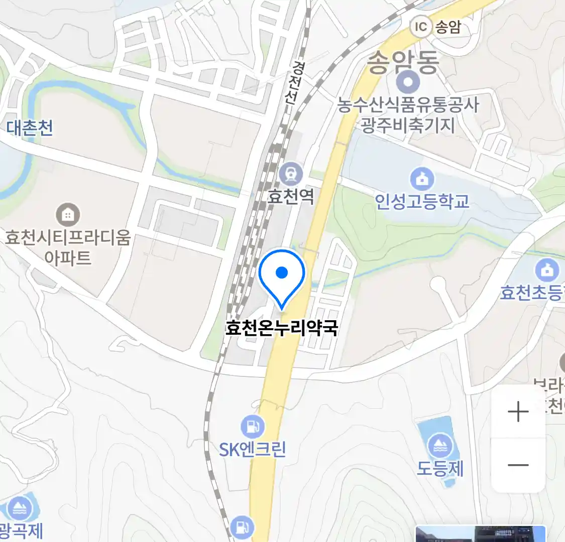 효천온누리약국 위치