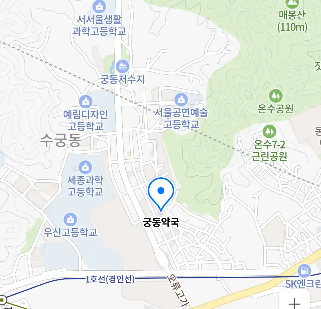 궁동약국 위치