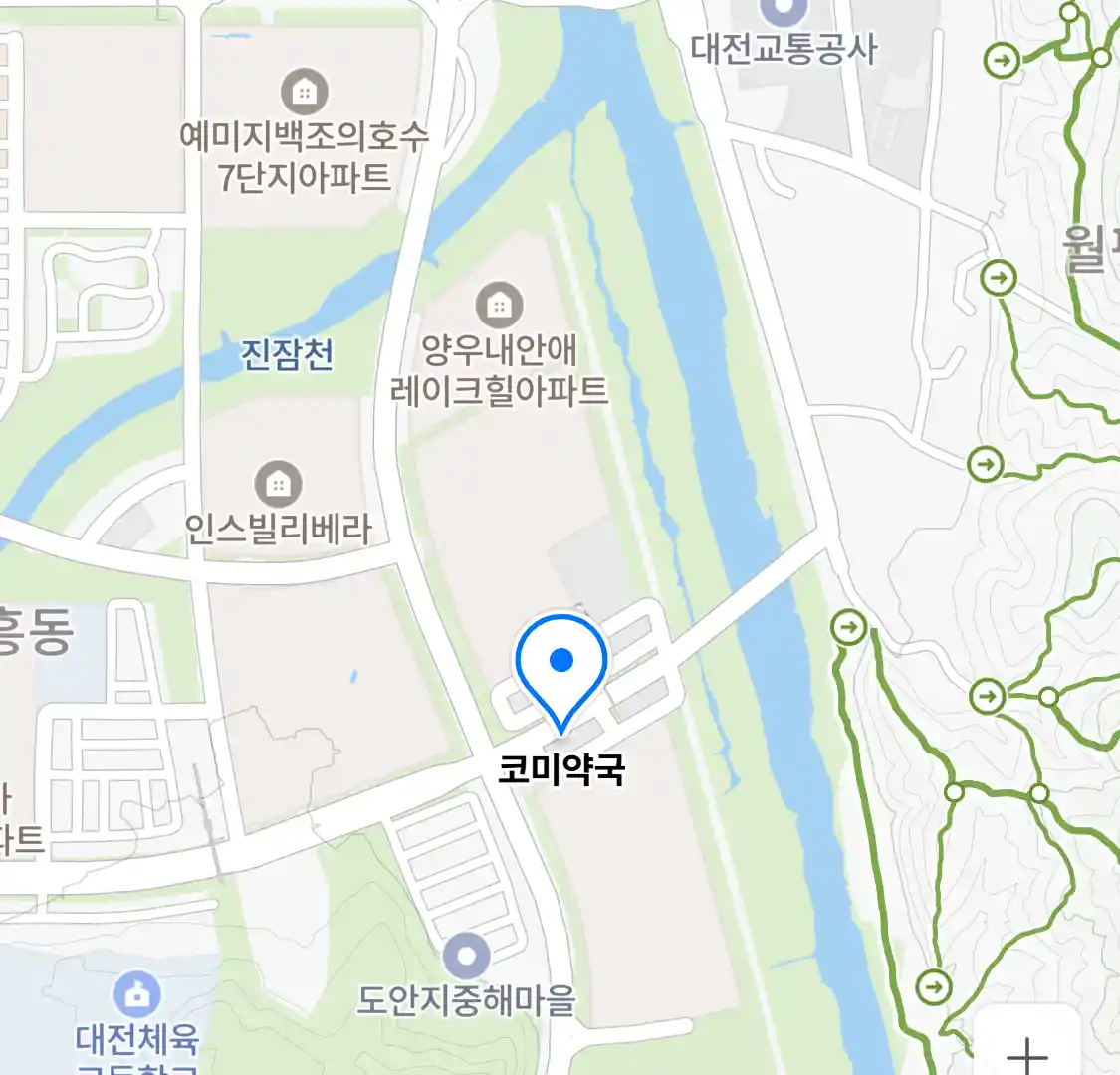 코미약국 위치