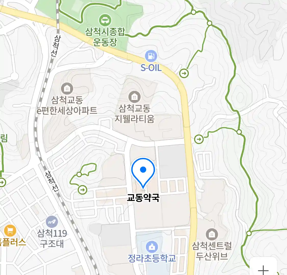 교동약국 위치