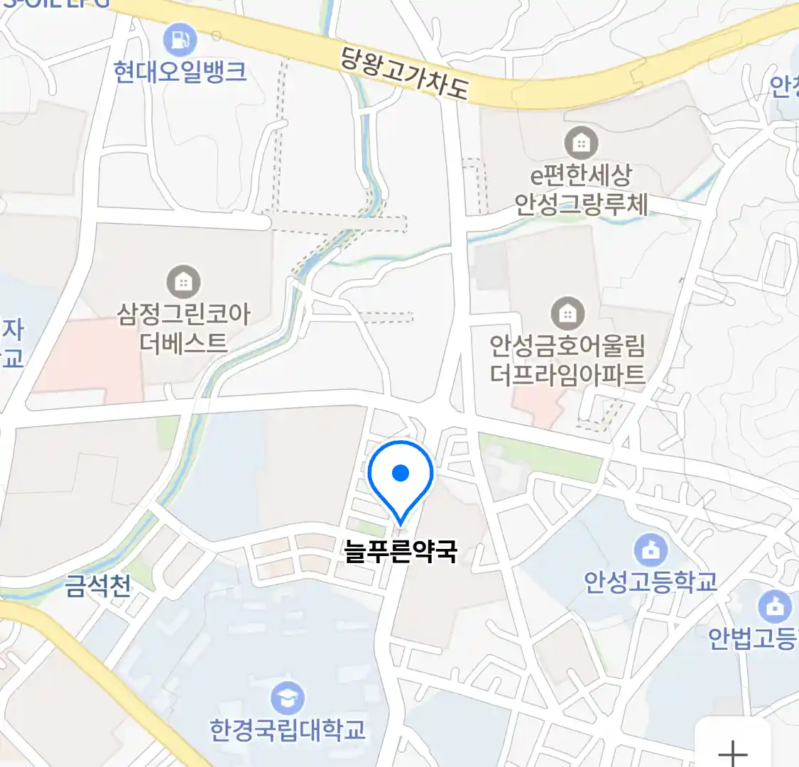 늘푸른약국 위치