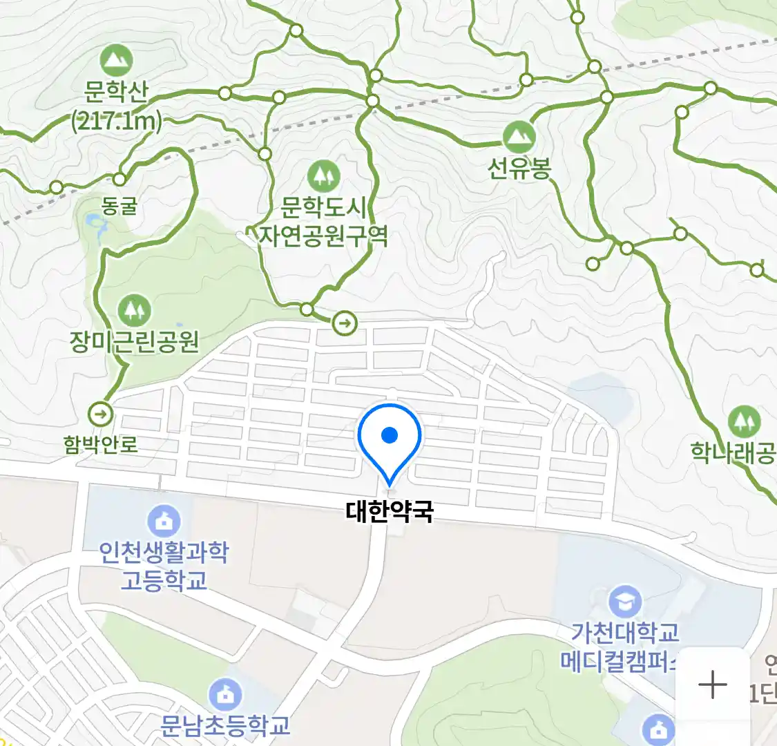 대한약국 위치