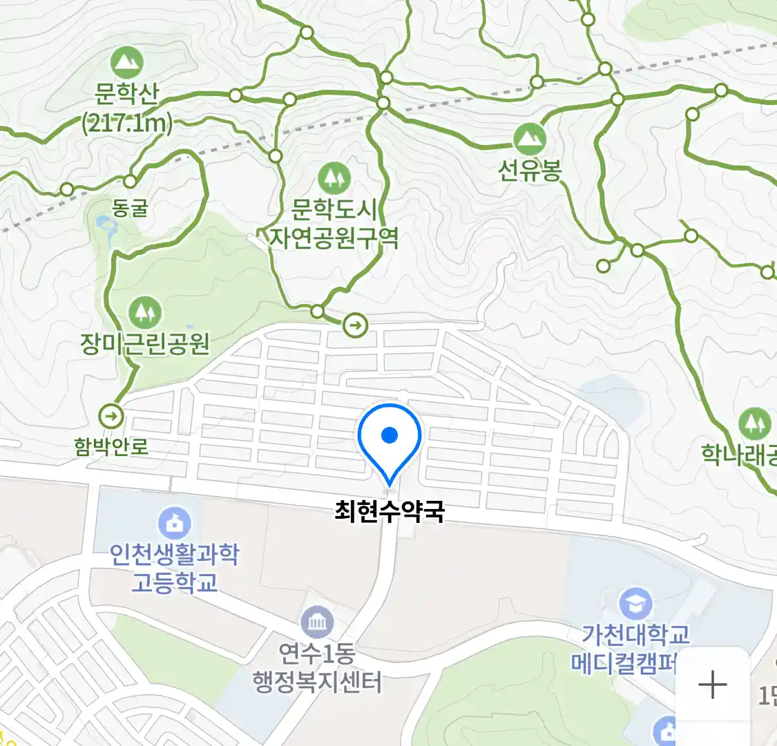 최현수약국 위치
