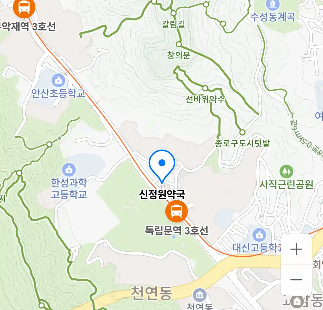 신정원약국 위치