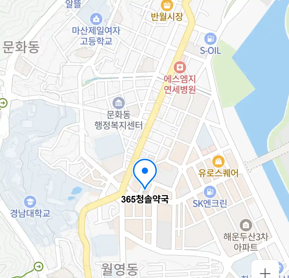 365청솔약국 위치