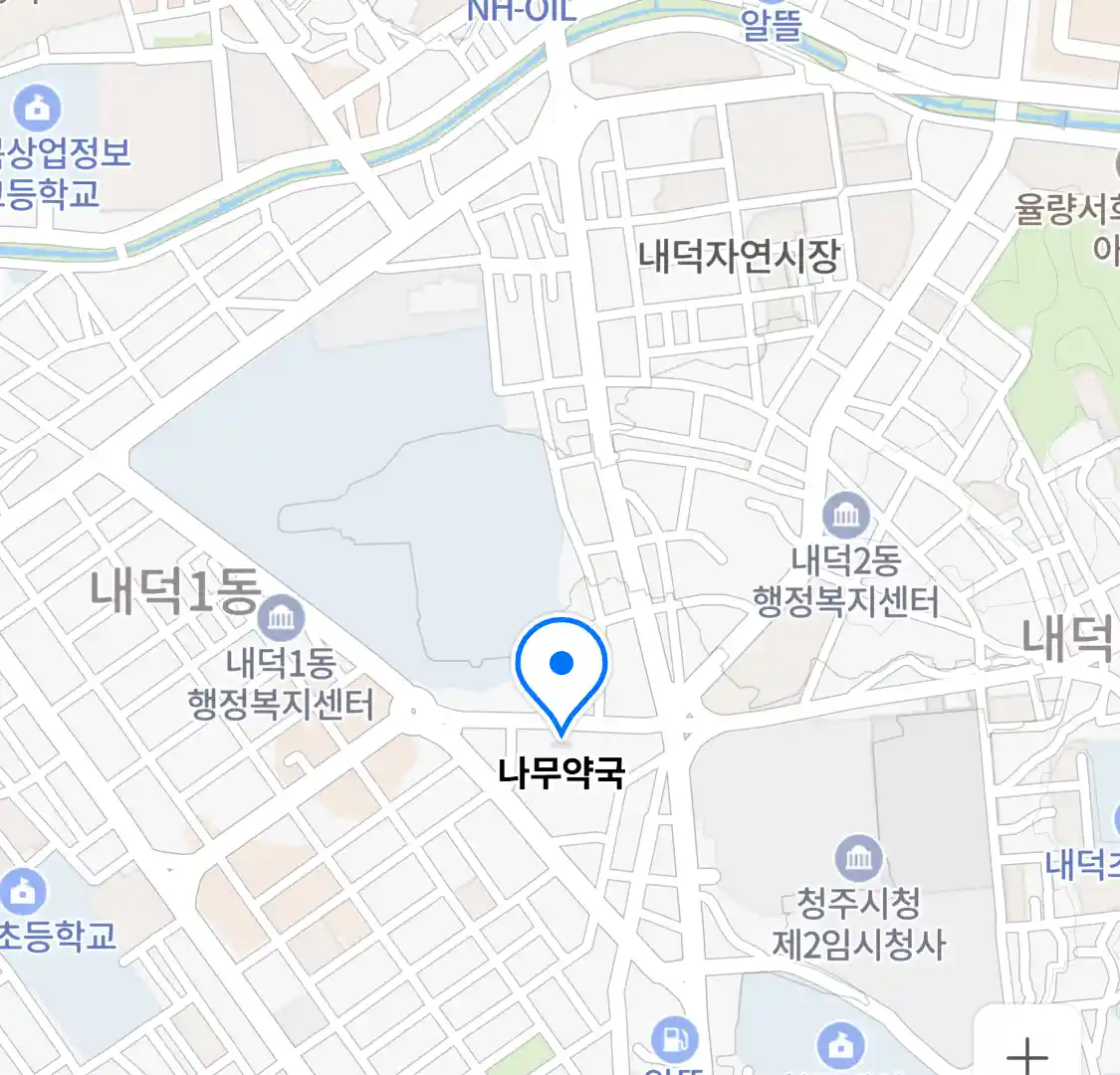 나무약국 위치