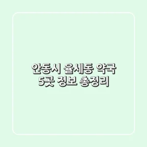 안동시 율세동 약국 5곳 정보 총정리